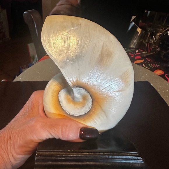Large Natilus Shell on Base - Picture 5 of 5